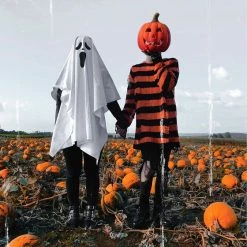 Killstar Pumpkin Punk Knit Sweater Black And Orange -Timeless London Shop 247464958 1070655817058416 7422047322754807966 n 560x